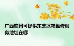 广西钦州可提供东芝冰箱维修服务地址在哪