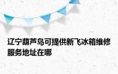 辽宁葫芦岛可提供新飞冰箱维修服务地址在哪
