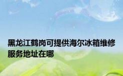 黑龙江鹤岗可提供海尔冰箱维修服务地址在哪