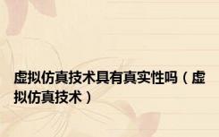虚拟仿真技术具有真实性吗（虚拟仿真技术）