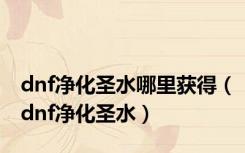 dnf净化圣水哪里获得（dnf净化圣水）