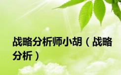 战略分析师小胡（战略分析）