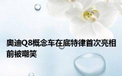 奥迪Q8概念车在底特律首次亮相前被嘲笑