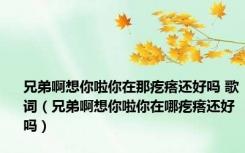 兄弟啊想你啦你在那疙瘩还好吗 歌词（兄弟啊想你啦你在哪疙瘩还好吗）