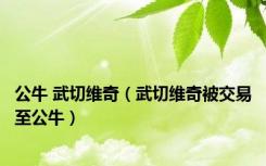 公牛 武切维奇（武切维奇被交易至公牛）