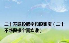 二十不惑段振宇和段家宝（二十不惑段振宇喜欢谁）