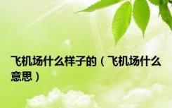 飞机场什么样子的（飞机场什么意思）