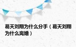 葛天刘翔为什么分手（葛天刘翔为什么离婚）