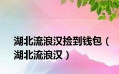 湖北流浪汉捡到钱包（湖北流浪汉）