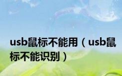 usb鼠标不能用（usb鼠标不能识别）