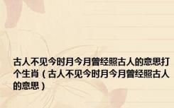 古人不见今时月今月曾经照古人的意思打个生肖（古人不见今时月今月曾经照古人的意思）