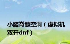 小脑脊髓空洞（虚拟机双开dnf）
