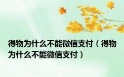 得物为什么不能微信支付（得物为什么不能微信支付）