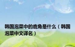 韩国泡菜中的鹿角是什么（韩国泡菜中文译名）