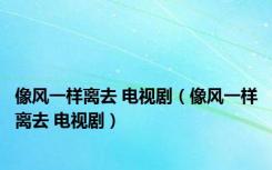 像风一样离去 电视剧（像风一样离去 电视剧）