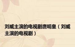刘威主演的电视剧唐明皇（刘威主演的电视剧）