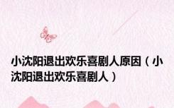 小沈阳退出欢乐喜剧人原因（小沈阳退出欢乐喜剧人）