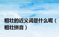 粗壮的近义词是什么呢（粗壮拼音）
