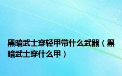 黑暗武士穿轻甲带什么武器（黑暗武士穿什么甲）