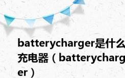 batterycharger是什么充电器（batterycharger）