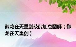 御龙在天重剑技能加点图解（御龙在天重剑）