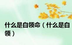 什么是白领命（什么是白领）