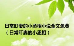 日常盯妻的小丞相小说全文免费（日常盯妻的小丞相）