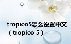 tropico5怎么设置中文（tropico 5）