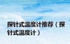 探针式温度计推荐（探针式温度计）