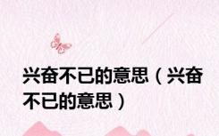 兴奋不已的意思（兴奋不已的意思）