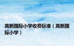 高新国际小学收费标准（高新国际小学）