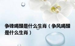 争锋喝醋是什么生肖（争风喝醋是什么生肖）