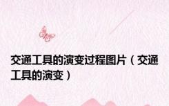 交通工具的演变过程图片（交通工具的演变）