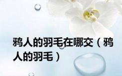鸦人的羽毛在哪交（鸦人的羽毛）