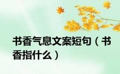 书香气息文案短句（书香指什么）