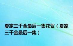 夏家三千金最后一集花絮（夏家三千金最后一集）