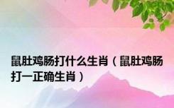 鼠肚鸡肠打什么生肖（鼠肚鸡肠打一正确生肖）