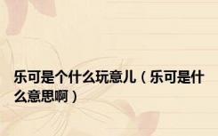 乐可是个什么玩意儿（乐可是什么意思啊）