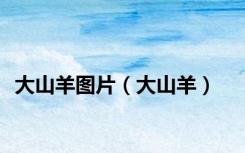 大山羊图片（大山羊）