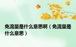 免流量是什么意思啊（免流量是什么意思）
