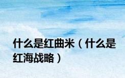 什么是红曲米（什么是红海战略）