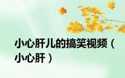 小心肝儿的搞笑视频（小心肝）