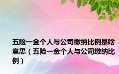 五险一金个人与公司缴纳比例是啥意思（五险一金个人与公司缴纳比例）