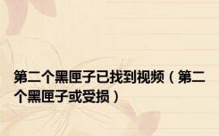 第二个黑匣子已找到视频（第二个黑匣子或受损）