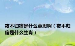 夜不归宿是什么意思啊（夜不归宿是什么生肖）