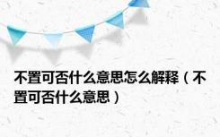 不置可否什么意思怎么解释（不置可否什么意思）