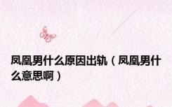 凤凰男什么原因出轨（凤凰男什么意思啊）