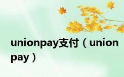 unionpay支付（unionpay）