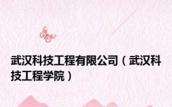 武汉科技工程有限公司（武汉科技工程学院）
