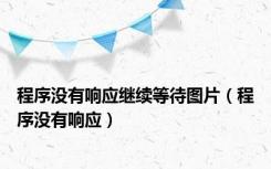 程序没有响应继续等待图片（程序没有响应）